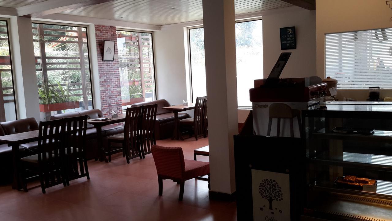 Olives Pleasant Stays أوتي المظهر الخارجي الصورة